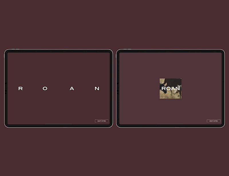 Roan project image